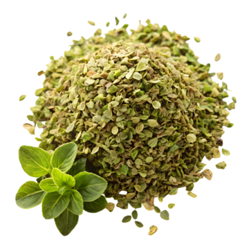 Oregano